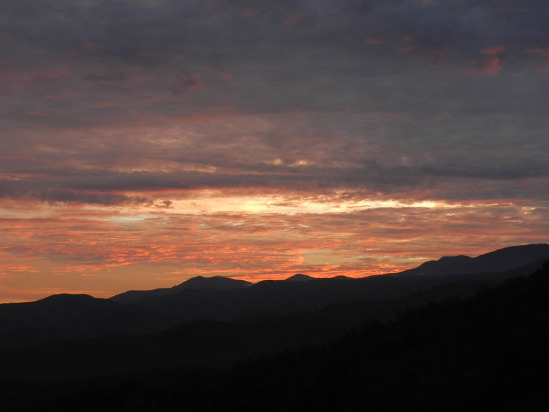 abcwedoutdoorDSCN3728