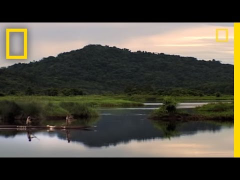 Rites of Manhood: The Horrifying Crocodile Scar Ritual