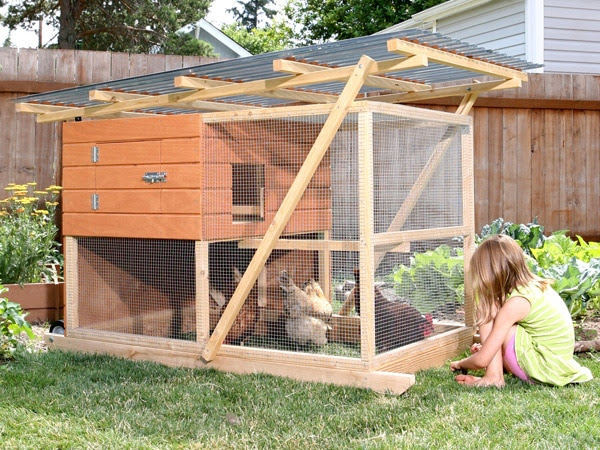 The Garden Ark is a modern, mobile chicken tractor that lets you move 