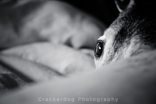 Sadie