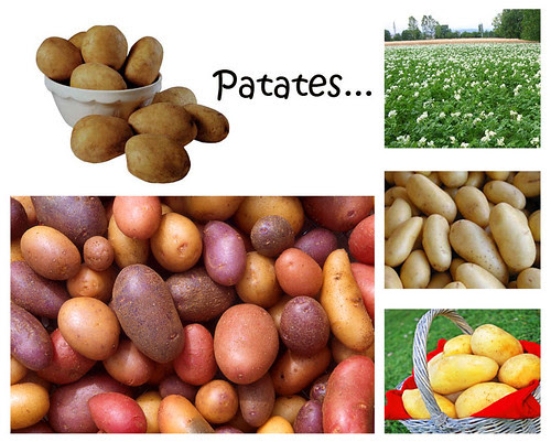 Patates (hünerlopedi)