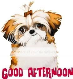 Myspace Comment:  Good Afternoon 08