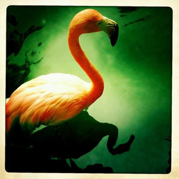 Beautiful Photos Taken with Camera Phones (35 pics)
