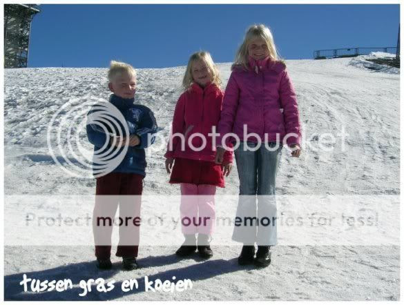 Photo Sharing and Video Hosting at Photobucket