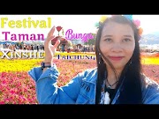 Hot Festival Taman Bunga Xinshe Taichung Taiwan Part 1, terpanas!