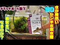 √完了しました！ 活性炭 作り方 水槽 220789