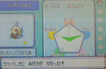 エメラルド寄り道 L E S S