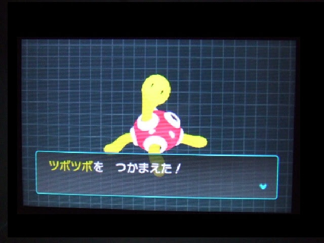 ポケモンａｒサーチャー 本日のｇｅｔポケモン 6 25 突撃ヘタレのゲームプレイ日記
