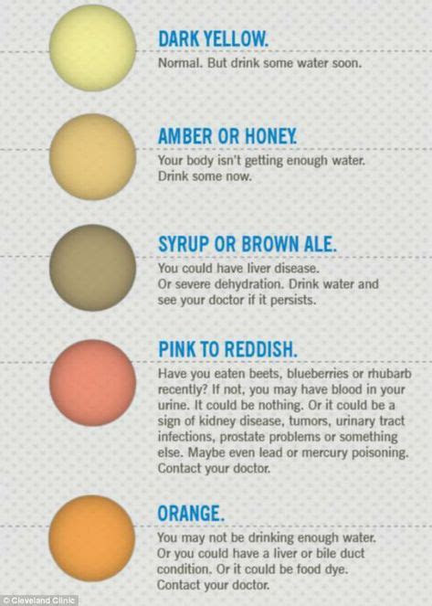  12 free printable stool color charts word pdf free 7 sample stool