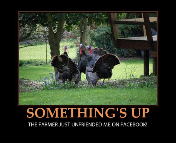 The Best Thanksgiving Memes This Year
