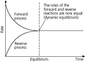 number explain system base QS Study Dynamic  Equilibrium?  What is