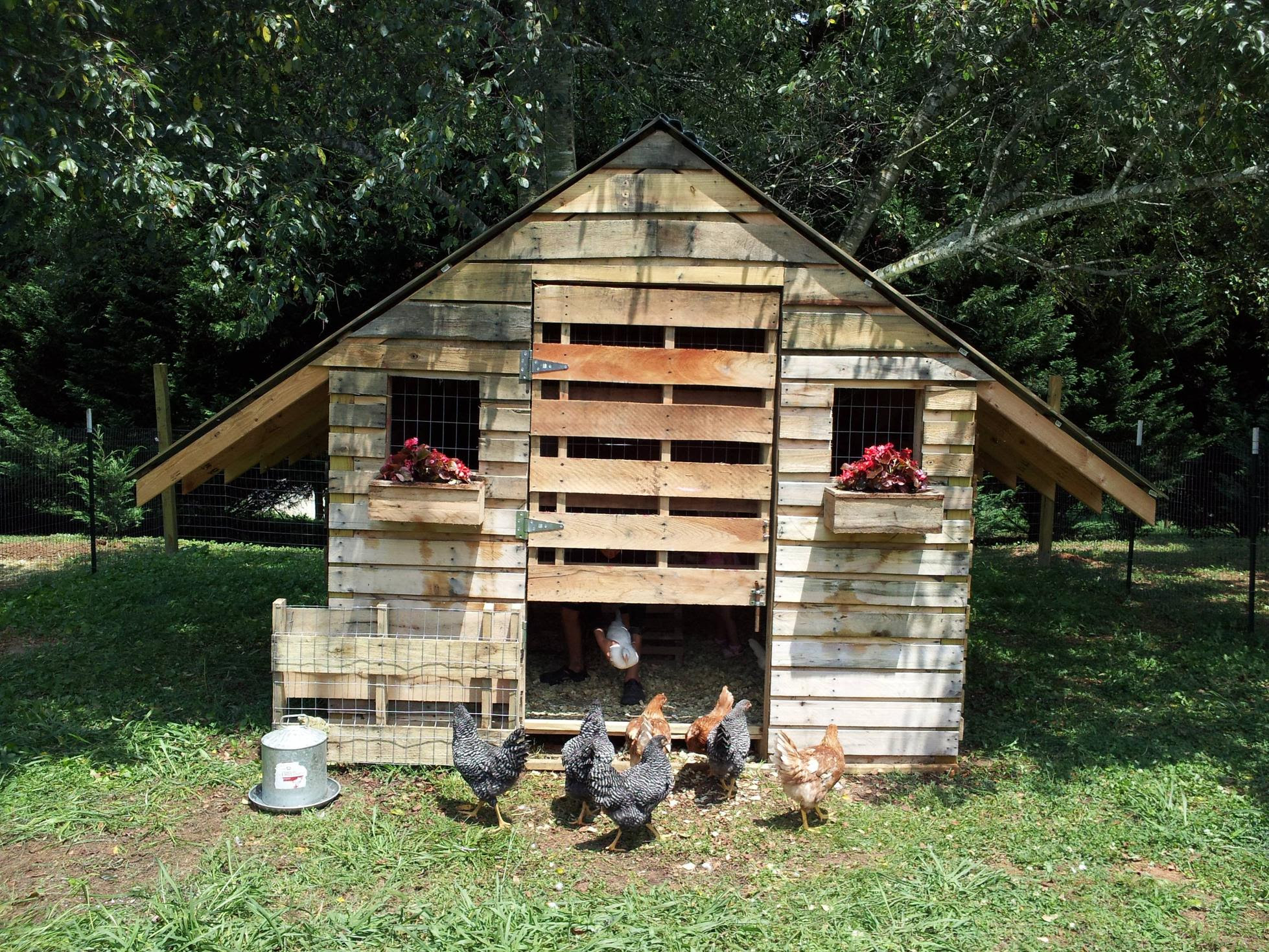 Chicken coop made from pallets!!! | Pallet possibilities | Pinterest