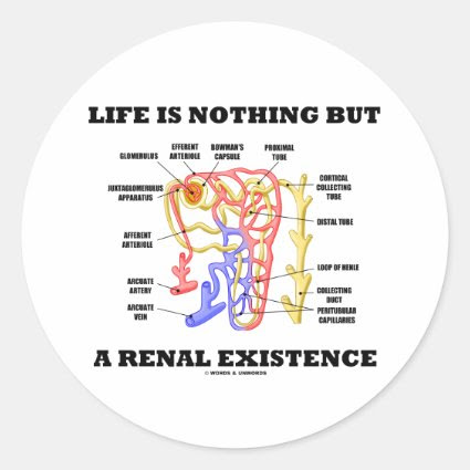 Life Is Nothing But A Renal Existence Stickers