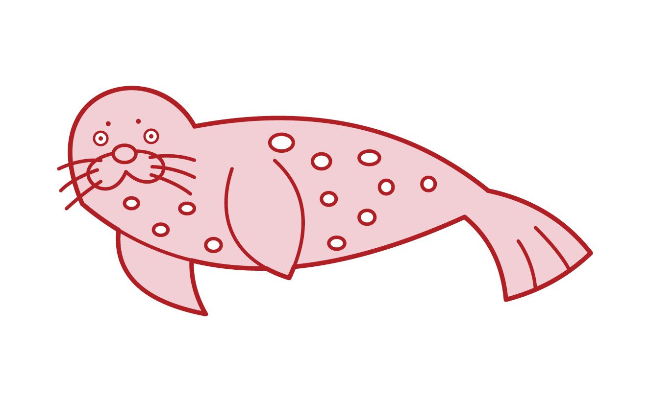 ゴマフアザラシのイラスト フリーイラスト素材 Kukukeke ククケケ