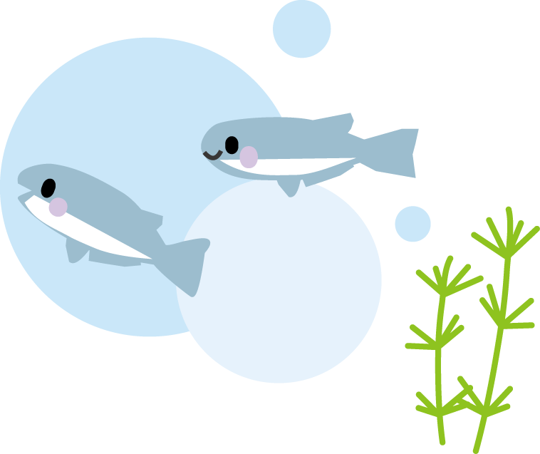 メダカ めだか イラスト 無料イラスト フリー素材