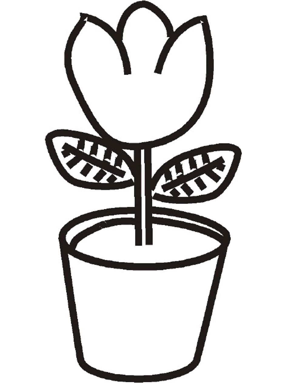 Coloring Pic Of Plant Clip Art Library