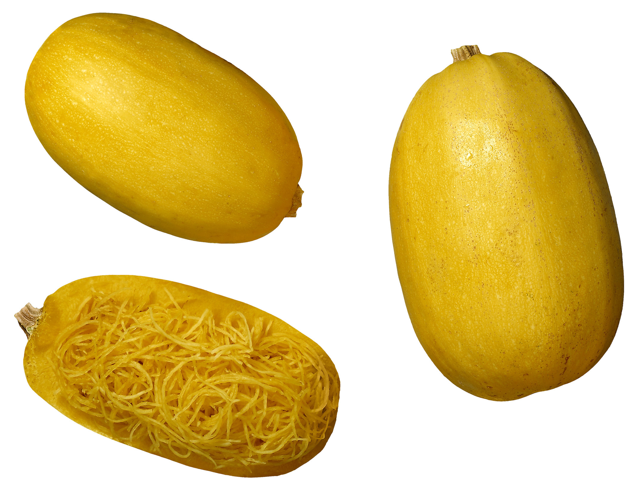 Butternut Squash Vs Spaghetti Squash