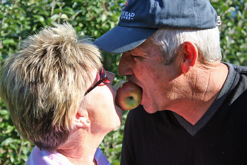 Apple Pickin 2011