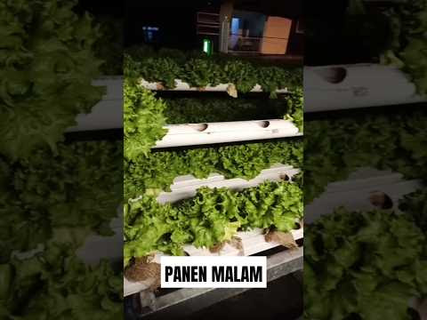 चित्र