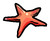 Starfish Pin