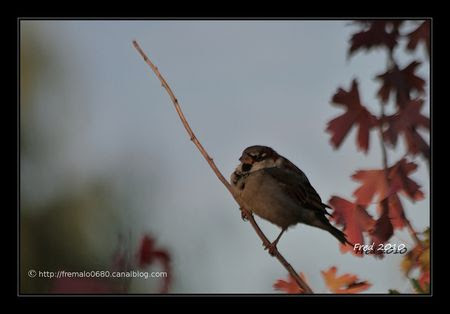 IMG_0414_sign_e