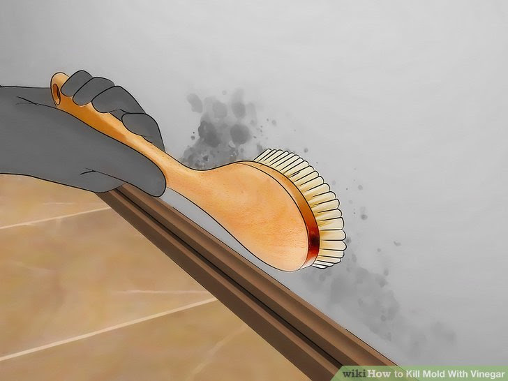 Kill Mold With Vinegar Step 6.jpg