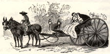 quitrín (dibujo de Samuel Hazard)