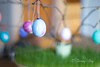 102NCD80_DSC_1208.jpg