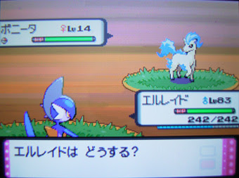 色違いポニータgetだぜ 有栖のポケモン日記