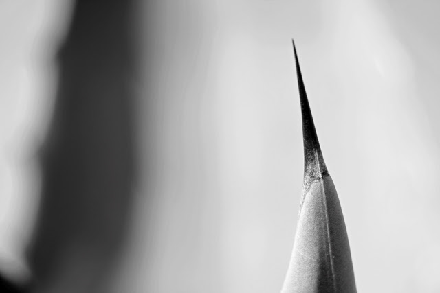 Thorn