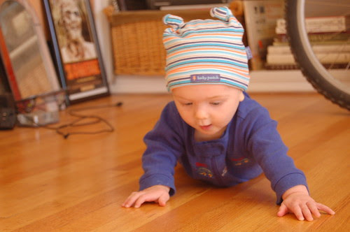 Crawling...Almost