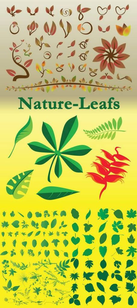 stock images nature. Stock Vector - Nature Leafs