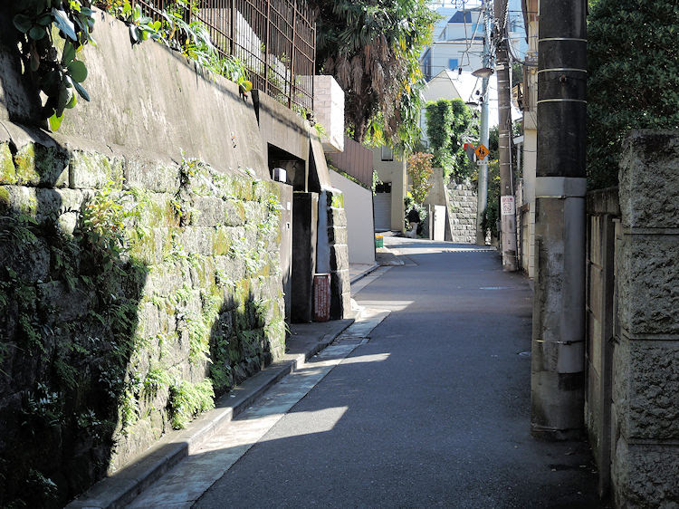 胸突坂 白山 ぼのぼのぶろぐ