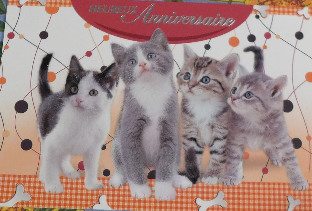 Deux Jolies Cartes Pour Mon Anniversaire Une Bonne Nouvelle Par Jour