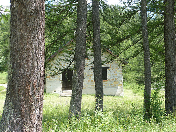 cabane 2