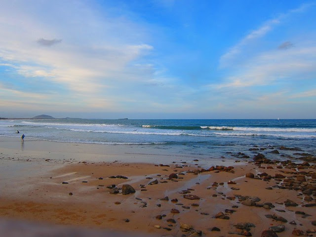 Surfers at Alex