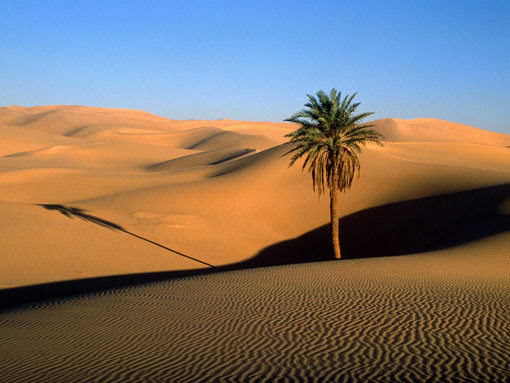 Gurun Sahara memasok separuh dari seluruh debu yang terbawa hingga ke atmosfer setiap tahun. Debu Sahara jauh lebih “murni” daripada debu dari gurun pasir Asia atau Amerika Serikat. 
