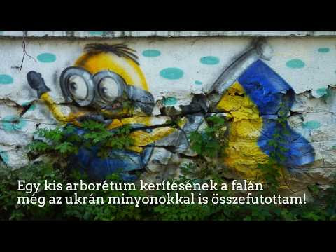 Kép
