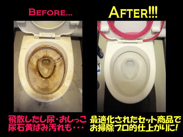 Kis 送料無料 トイレの徹底掃除洗剤5点セット お掃除専門店kis公式サイト