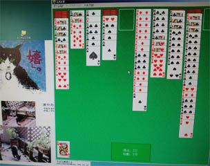 クモとおっちゃん センセ 家では大型犬