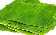 Terkini Apa Jenis Daun Yang Digunakan Untuk Membuat Mahkota Daun, Inspirasi Terkini!