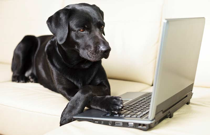 7 Simple Steps for a Solid SEO Strategy