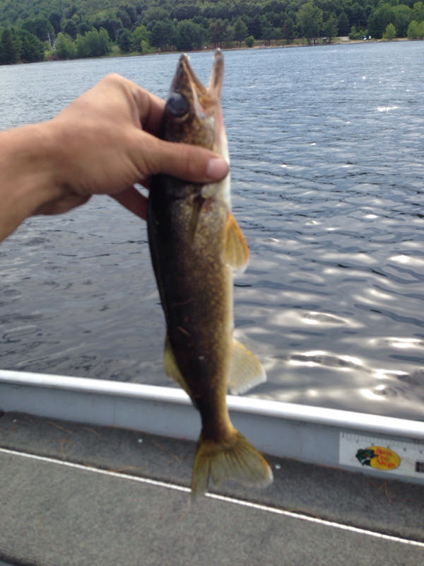 Great Sacandaga Lake NY Fishing Reports, Map & Hot Spots