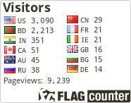 Flag Counter