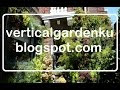 INI CARA MEMBUAT TAMAN VERTIKAL SEDERHANA
