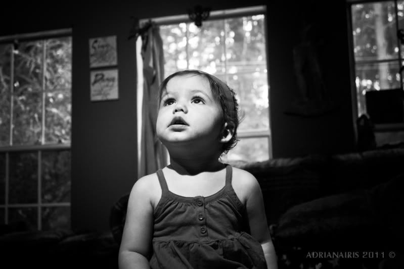 adrianairis La Dulce Vida