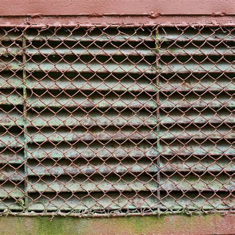 oude vent neukt huishoudhulpje