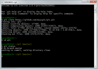 Git BASH