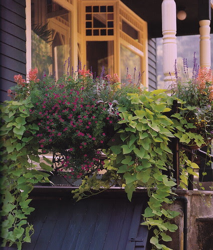 WindowBox_0004