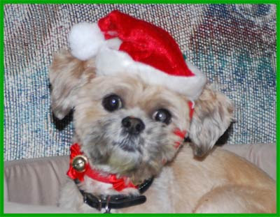 Bilbo-Santa